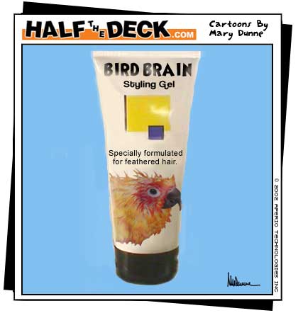 Bird Brain Hair Gel