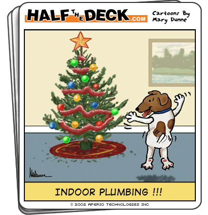 Christmass Cartoon - Indoor Plumbing