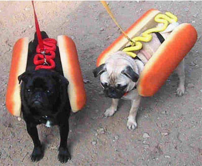 New meaning to hot dogs