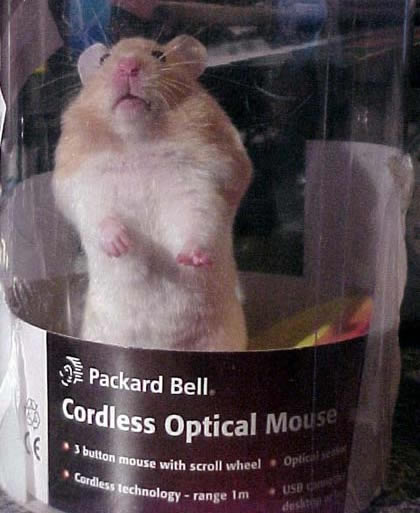 Cordless mouse with a brain