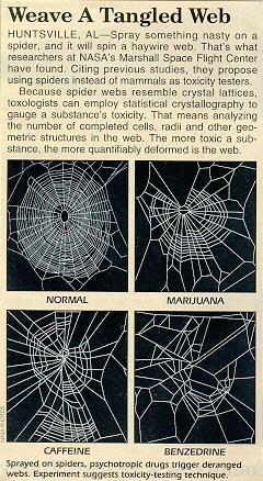 Spiders on drugs