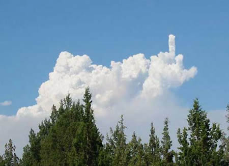 Moving cloud says fuck you