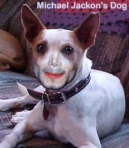 Michael Jackson's scary dog