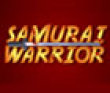 Fighting games: Samurai warrior-1