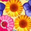 Photo puzzles: Flower Power