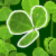 Photo puzzles : Lucky Clover