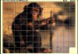 Photo puzzles : Mega Puzzle