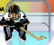 Photo puzzles : Sekonda Ice Hockey