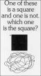 Funny pictures : Puzzle for blondes 6