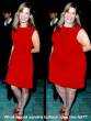 Funny pictures: Fat Sandra Bullock