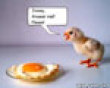 Funny pics tracker: Lonely chick picture