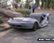 Funny pics tracker: Tree owned a car picture