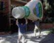 Funny pics mix: Huge bottle of ranch picture