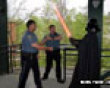 Funny pics tracker: Police try to arrest darth