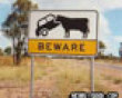 Beware of what? picture