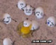 Funny pics tracker: Egg accident picture