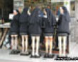 Funny pics tracker: Fake nun legs picture