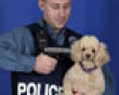 Funny pics mix: The police brutality puppy