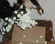 Funny pics mix: Box foam kitty picture