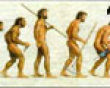 Man's computer evolution picture