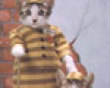 Funny pics tracker: Kitten prisoners picture