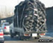 Funny pics tracker: Lots of tires picture