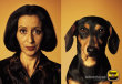 Funny pictures: Dog and owner lookalikes 2