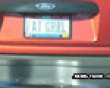 Fat girl license plate picture