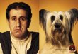 Funny pictures: Dog and owner lookalikes 3