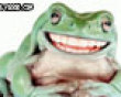 Creepy looking frog picture