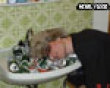 Funny pics mix: Beer sink and sleep picture