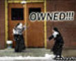 Nun owned by snowball picture