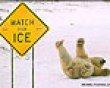 Funny pics mix: Watch for ice picture