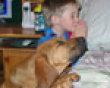 Funny pics mix: Boy and dog pray before bed