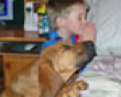 Funny pics tracker: Boy and dog pray before bed