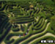 Funny pics mix: The grass maze picture