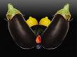 Funny pictures : Sexy veggies