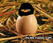 Funny pics mix: Ninja chick picture