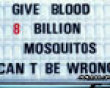 Funny pics mix: Mosquitos can't be wrong picture