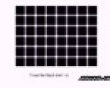 Funny pics mix: Count black dots picture