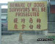 Funny pics tracker: Survivors are prosecuted picture