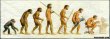 Funny pictures: Evolution of Man-1