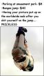 Funny pictures : Bungee Surprise