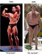 Funny pictures : Arnold Is Fat