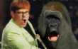 Funny pictures: ELTON JOHN COMPARISON