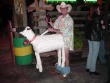 Funny pictures : Sheep Halloween Costume