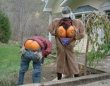 Funny pictures : Halloween Flashers