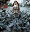 Funny pictures : When Birds Attack 2