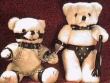 Funny pictures: Naughty Teddy