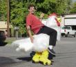 Chicken Rider